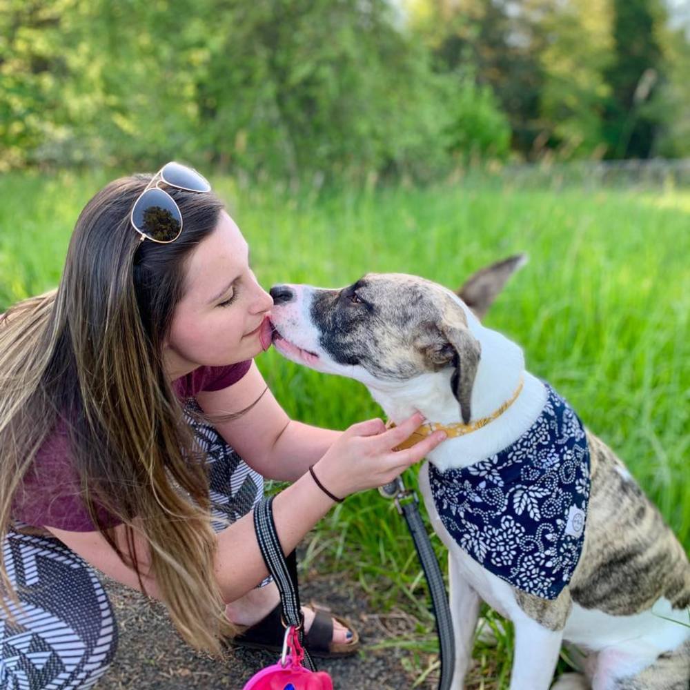 Meet your Posher, Ivy